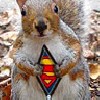 Avatar de l’utilisateur
