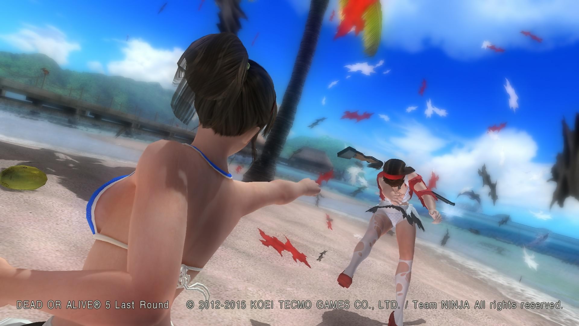 Erotic Mod Dead or Alive 5: Last Round on PC