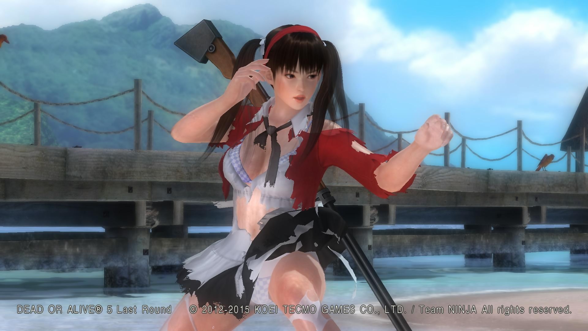 Doa5 Last Round