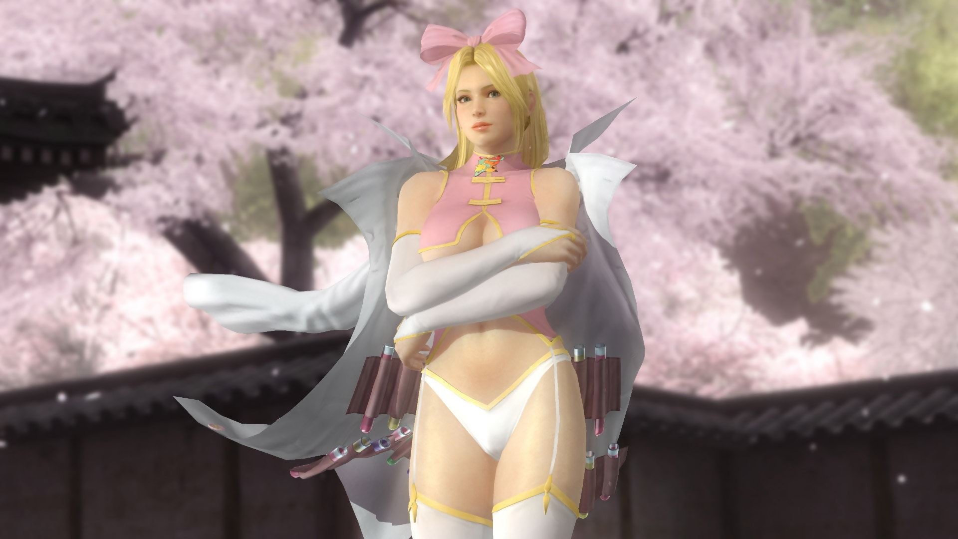 Erotic Mod Dead or Alive 5: Last Round on PC