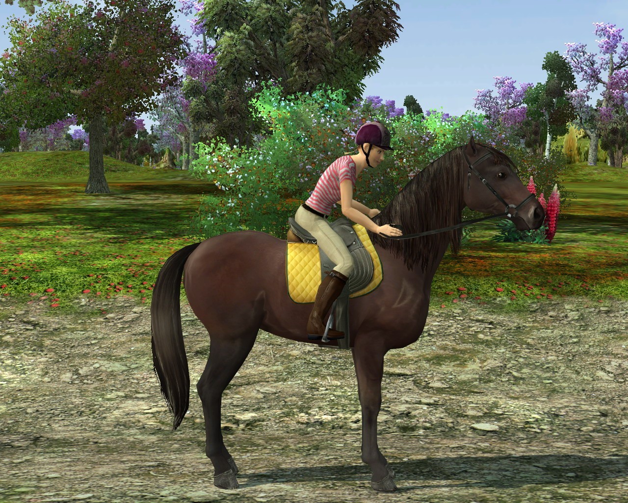 my horse and me 2 pc free download