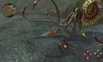 Sacred 2 : le plein d'illustrations