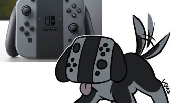 Nintendo Switch : les plus beaux trolls vus sur Internet et Twitter