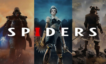 Spiders