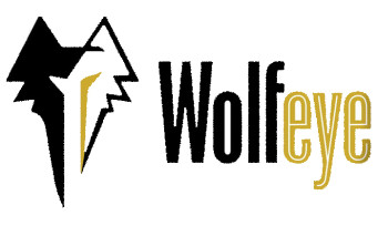 WolfEye : nouveau studio du fondateur d'Arkane (Dishonored)