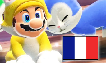 Charts France : Nintendo fait le grand chelem, des exclus partout
