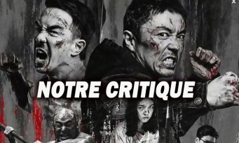 THE FURIOUS : oui, il surclasse The Raid 1 et 2, c'est bien réel ! (CRITIQUE) THE FURIOUS : oui, il surclasse The Raid 1 et 2, c'est bien réel ! (CRITIQUE)