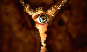 Cinéma et Jeux Vidéo