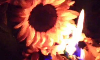 Bethesda : la vidéo des tournesols en feu