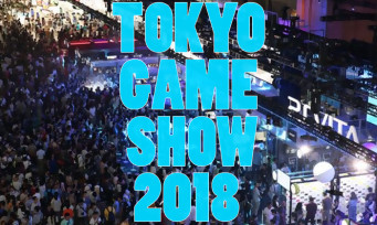 Tokyo Game Show 2018 : découvrez les scores de fréquentation records !