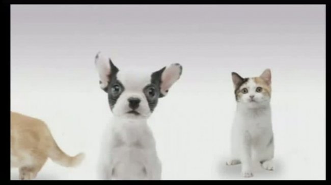 TÉLÉCHARGER NINTENDOGS DS FR FR DS TÉLÉCHARGER NINTENDOGS