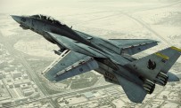 Ace Combat Assault Horizon