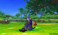 Dragon Quest X