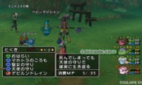 Dragon Quest X