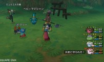 Dragon Quest X