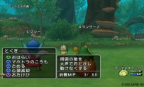 Dragon Quest X