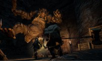 Dragon's Dogma