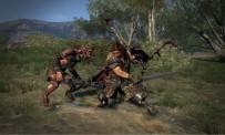 Dragon's Dogma