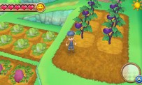 Harvest Moon 3D : A New Beginning