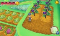 Harvest Moon 3D : A New Beginning