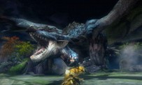 Monster Hunter 3G