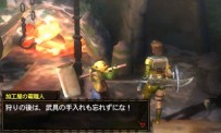 Monster Hunter 3G