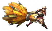 Monster Hunter 3G