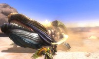 Monster Hunter 3G