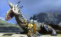 Monster Hunter 3G