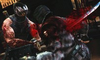 Ninja Gaiden 3