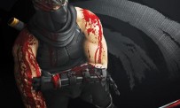 Ninja Gaiden 3