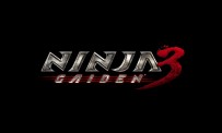 Ninja Gaiden 3