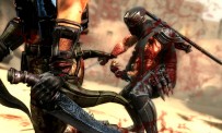 Ninja Gaiden 3