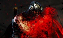 Ninja Gaiden 3