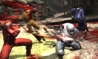 Ninja Gaiden 3