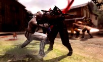 Ninja Gaiden 3