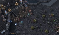 StarCraft 2 : Heart of The Swarm