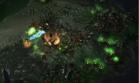 StarCraft 2 : Heart of The Swarm