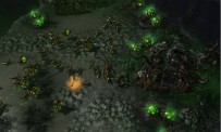 StarCraft 2 : Heart of The Swarm