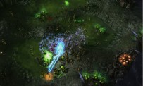 StarCraft 2 : Heart of The Swarm