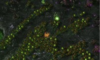 StarCraft 2 : Heart of The Swarm