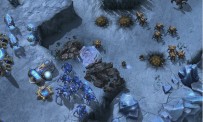 StarCraft 2 : Heart of The Swarm