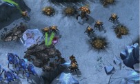 StarCraft 2 : Heart of The Swarm