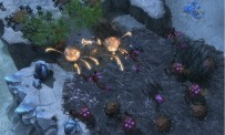 StarCraft 2 : Heart of The Swarm