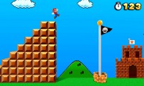 Super Mario 3DS