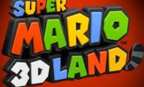 Super Mario 3DS