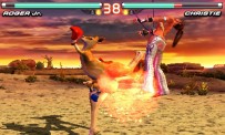 Tekken 3DS