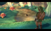 The Legend of  Zelda : Skyward Sword