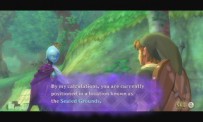 The Legend of  Zelda : Skyward Sword