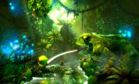 Trine 2